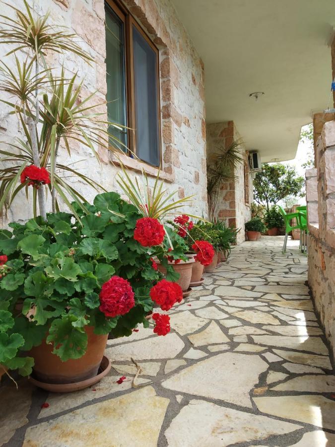 Altin Skrapari Guesthouse 卡萨米尔 外观 照片