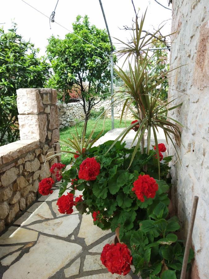 Altin Skrapari Guesthouse 卡萨米尔 外观 照片