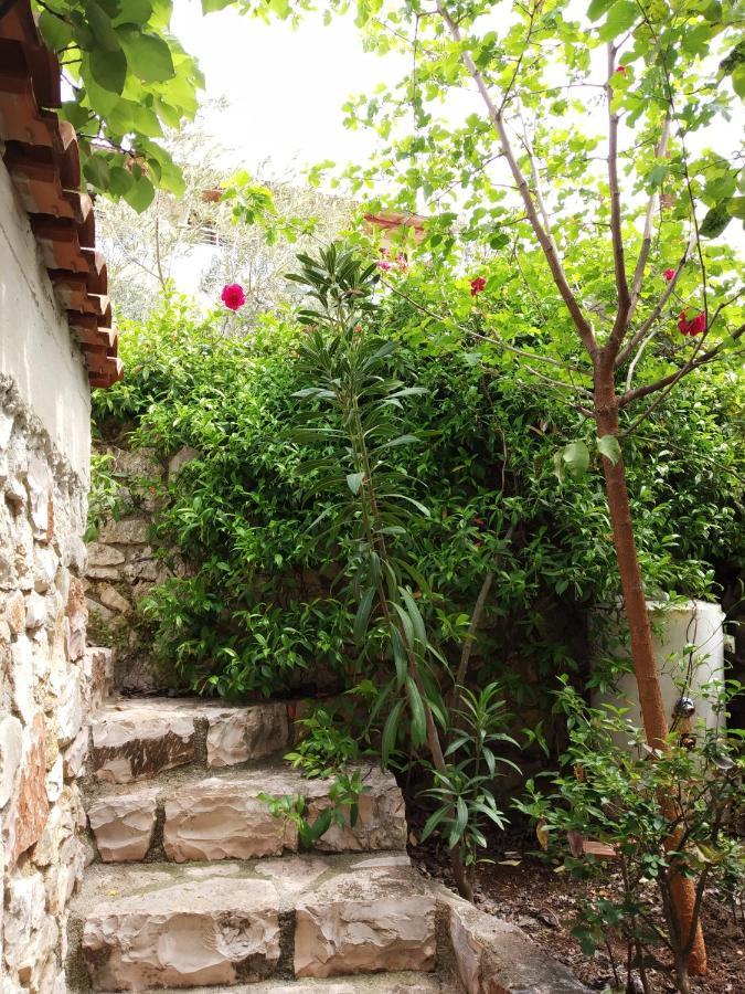 Altin Skrapari Guesthouse 卡萨米尔 外观 照片