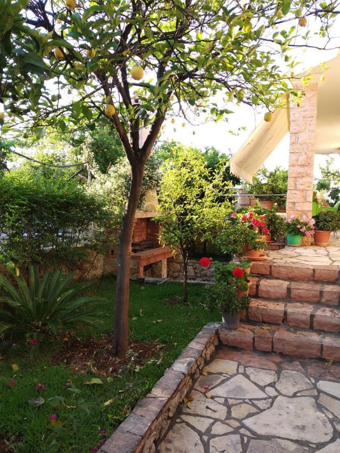 Altin Skrapari Guesthouse 卡萨米尔 外观 照片