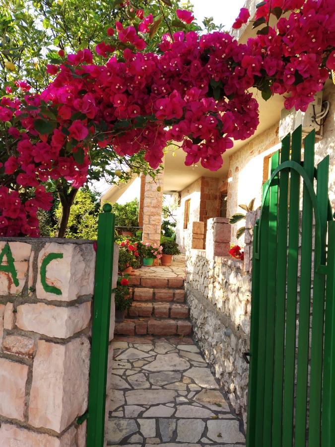 Altin Skrapari Guesthouse 卡萨米尔 外观 照片