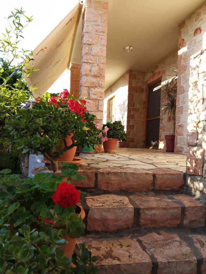 Altin Skrapari Guesthouse 卡萨米尔 外观 照片
