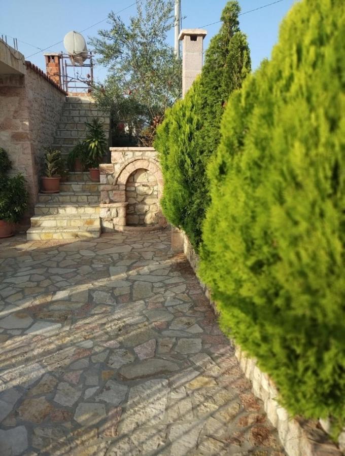 Altin Skrapari Guesthouse 卡萨米尔 外观 照片
